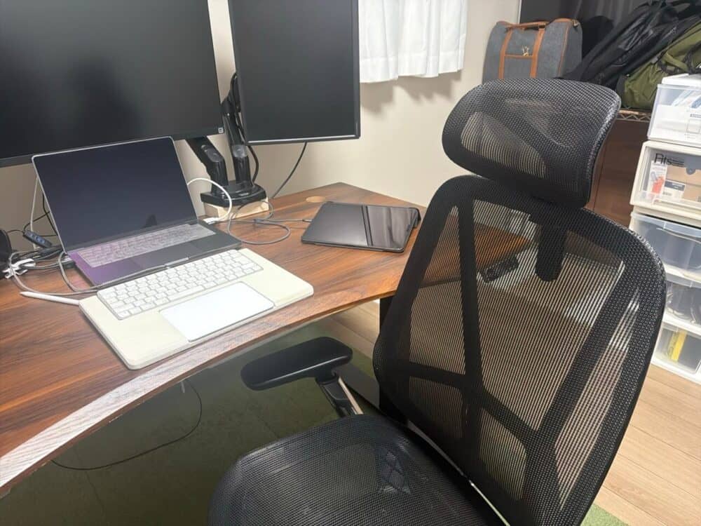 パームワークチェアにヘッドレストを装着した全体像